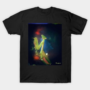 Eye Contact with the Mantis T-Shirt